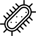 bacterie 3at Bio bio solutions in life science