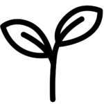 plantje 3at Bio bio solutions in life science